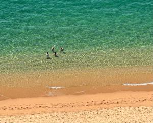 Depa de Lujo frente a Playa en Bahía de ACA - Sin Daños por OTIS-JOHN
