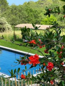 Villas Domaine Les Vaches : photos des chambres