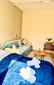 Alpha apartment H1 - 锡季罗卡斯特龙