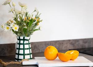 Gorgeous Boutique Flat Sleeps 2 in Lyme Regis