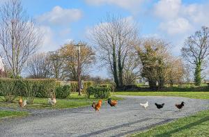 Campings Le Nocia : photos des chambres