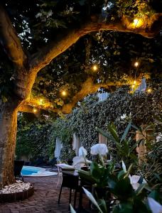 CitHotel Le Louvre Orange