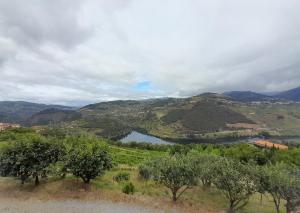 Linden Studio at Terrus Winery