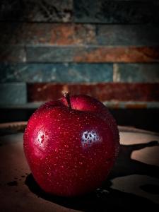 Central apartment with monkey vibes