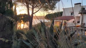 Villa Le Ginestre di mare