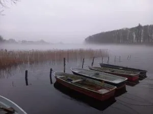 Schwandt-ein Bungalow mit Wasserblick, Ruderboot auf Anfrage - Gevezin