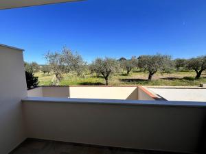 Appartamento con 1 Camera da Letto e Terrazza