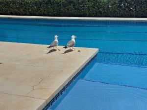 Balcón sobre el mar