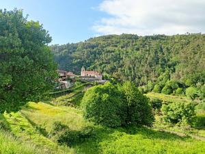 Sistelo - Sleeps4 - NaturalPool- Garden - Parking