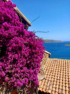 Punta Est - Trilo AGAVE Family Vista Mare