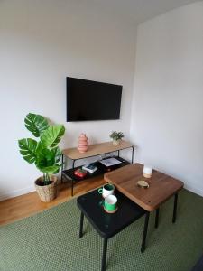 Appartements tres bel appartement 2 pieces : Appartement 1 Chambre
