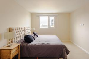 Gray Fox Apartments - San Martin