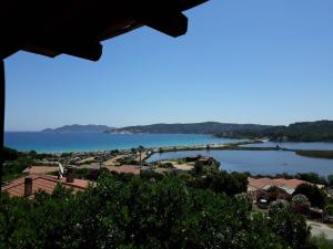 Appartamento Oleandro