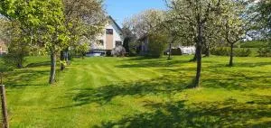 Apartmán Vysoké nad Jizerou - Roprachtice