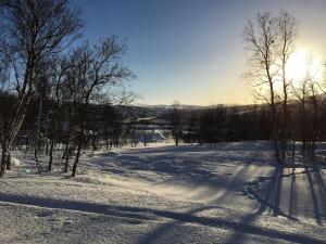 Feriehus med ti senger på Skaidi