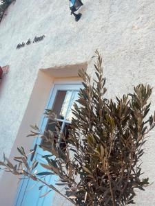 Maisons de vacances Ninho de Amor troglodyte unique : photos des chambres