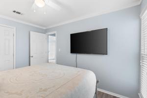 Endless Summer A36 - "The Allure"