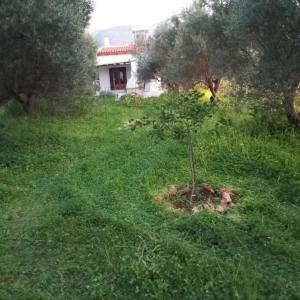 Cottage1Το μικρό σπίτι στο λιβαδι