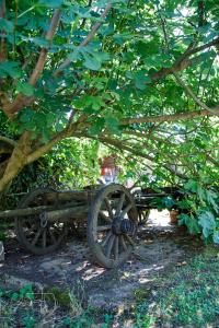 Little App - magical surrounding