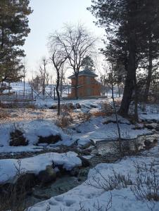 Forest Cabin Stay in Doodpathri - Perfect for Couples, Bonfire, BBQ