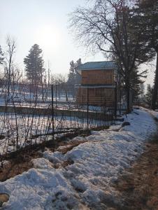 Forest Cabin Stay in Doodpathri - Perfect for Couples, Bonfire, BBQ