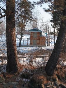 Forest Cabin Stay in Doodpathri - Perfect for Couples, Bonfire, BBQ