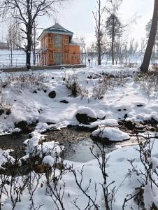 Forest Cabin Stay in Doodpathri - Perfect for Couples, Bonfire, BBQ