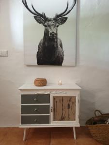 Casa del Ciervo - Rio Tus