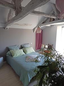 B&B / Chambres d'hotes Quai n5 : photos des chambres