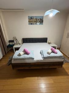 Apartment Elefant 021