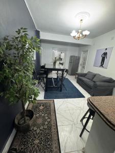 شارع محمد شاهين العجوزه