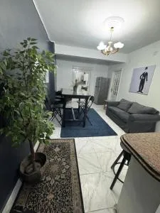 شارع محمد شاهين العجوزه - 开罗