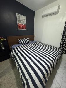 شارع محمد شاهين العجوزه