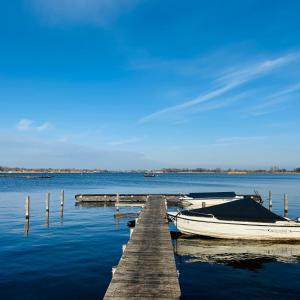 Nice chalet near Reeuwijkse plassen