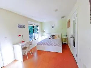 City Oasis - Issaquah