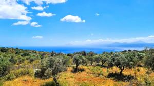 Villa Lisaya, a peaceful oasis in a natural area