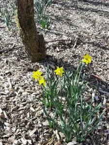 The Wild Atlantic Sanctuary - 西班牙角