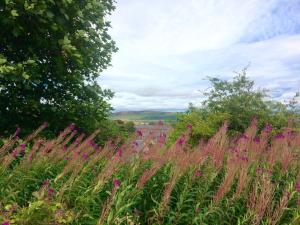 Detached Cosy Cottage in Wooler, Northumberland