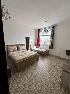 International Abu-Dhabi Hostel Villa