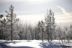 Holiday Home Samanitieva