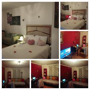 Appartements Havre de Paix : photos des chambres