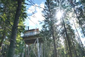 Faråsen Luxury Treetop Cabin - Sleep Among the Trees
