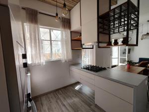 Superior Apartment Near Beach