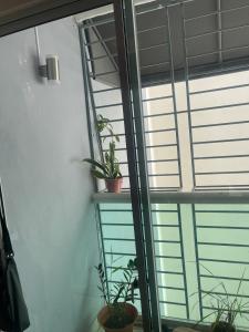 Apartamento Bello y Amueblado