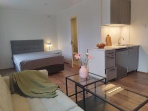 MYROOM-2 near the center and the Stroomi beach