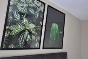 Central Cheerful Comfortable 3 bedroom home