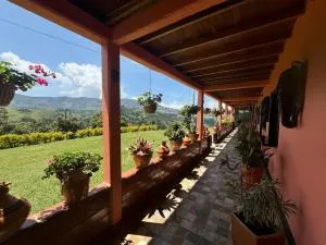 Countryside house with jacuzzi and Sauna - 拉平塔达