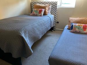 Relajo y descanso en Chillán