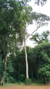 La Reserva