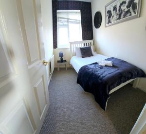 Ashford Luxury Town Retreat-Free Parking -Super Fast Wifi, Spacious, Back Garden & Garden Chairs